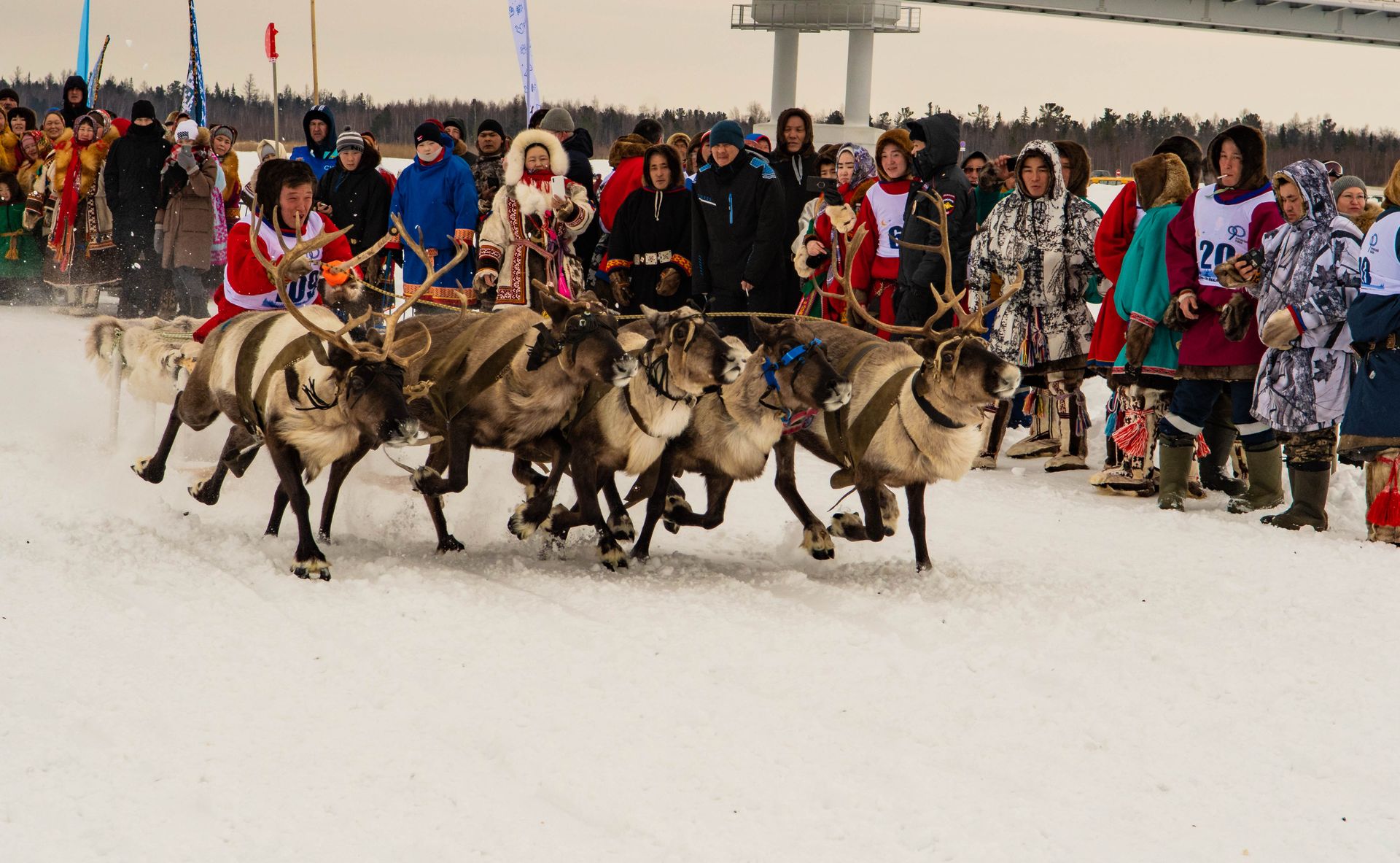 Jokkmokk